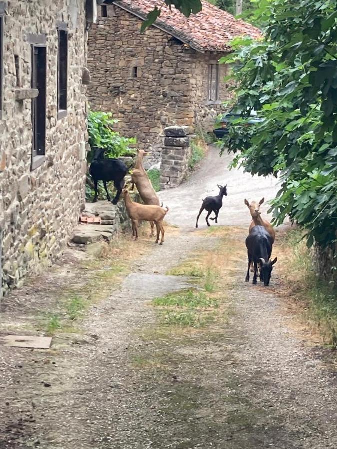Apartamento Picos De Europa Cabezón de Liébana Esterno foto